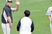 ＮＰＢ外国人登録枠拡大へ　今季限り　史上最多８人の阪神に好影響か