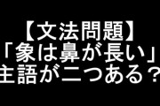 象は鼻が長い←主語ってどれよ？
