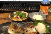 【画像】ダイエット中おれの手作りサバ定食