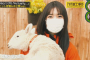 羊の子供を抱っこしてる小川彩ちゃんがくっそ可愛すぎるｗｗｗ【乃木坂46】