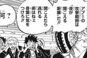【ワンピース】最悪の世代・アプーの弱点、見つかるｗｗｗｗｗｗｗｗｗｗ