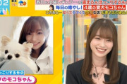 【櫻坂46】守屋麗奈、朝からアザトカワイイw 愛犬・モコちゃんを紹介！【ラヴィット】