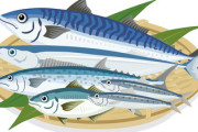 魚（うまい、身体にいい、安い）←牛豚鳥に負けた理由