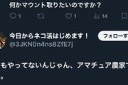 自称農家「米20ha？一町もやってないアマチュア農家ですやん」→『1ha＝1町』と間違い指摘され発狂「高飛車で幼稚」「苦労を知らないボンボン」「そのうち事故死迎える」