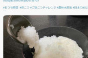 中国人「日本、ついにやらかす…日本が開発した『おかゆライス』がコチラ」　中国の反応
