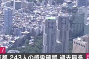 東京の感染者　+243