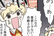 【東方】原作だとフラマリというよりレイフラだよね
