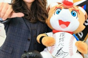 プロ野球選手をお姉ちゃんにしてみた
