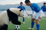 サッカーU17アジア杯決勝、日本が3-2で中国に勝利！　中国人「素晴らしい試合だった」「寝なくてよかった」