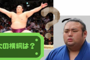 次の横綱候補って誰や？