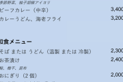 【画像】リッツ・カールトンの2,000円するおにぎりがこちらｗｗｗｗｗｗｗｗ