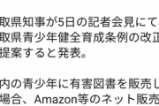 【悲報】鳥取県「CEROZのゲームを18歳未満に売ったら罰則な」←ゲーマー達が激怒