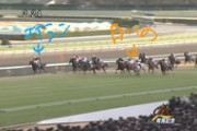 【競馬】三浦皇成(31) JRA重賞通算15勝←これ