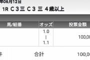 給付金入ったので園田１Rに10万いきました