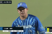 山崎康晃　0勝2敗23セーブ 防1.96