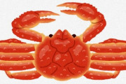 「生のベニズワイガニ22枚（約3万9,500円）」盗んだか…　７０代男逮捕　容疑者は「盗んでいない。買ったものだ」と容疑否認