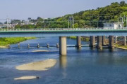 【悲報】多摩川、ガチで悲惨な状態になってしまうｗｗｗｗｗｗｗｗｗ