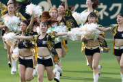 阪神「2023TigersGirls」のオーディション開催発表　オンライン体験会も実施