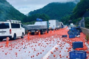 【画像】東北道でトマトが大量に散乱