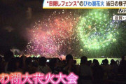 悩ましい花火大会『目隠しフェンス』越しに見た人「ほんま邪魔」「来年は課金」...地元住民「地元の人が見えにくい花火大会はなくてもいい」一方で5万人減で混雑は軽減