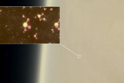 【朗報】BBC「金星の雲の中に生命がいるかも」