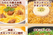 J民「チキンラーメンまずい！」彡(ﾟ)(ﾟ)（ホントに不味いんやろか・・・）