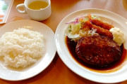 【どこでもレスバ】ハンバーグで白米って食えなくね？