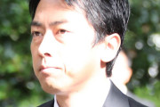小泉進次郎って将来の総理大臣なのに何で冷遇されてるの？ |  なんか、やらかしてたのかなー？