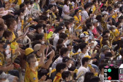 阪神ファン声出しすぎやろｗｗｗｗ