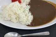 乗客「SAでドライバーがカレー食べてる。いかがなものか」旅行会社「申し訳ございません」