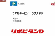 西武育成ドラ３ラマル・ギービン・ラタナヤケ「パワーはガチ」
