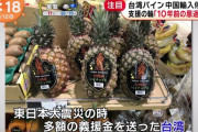 台湾産パイナップル　西友３００店舗で即日完売