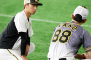 阪神矢野監督（最下位）「信じて使う」打率最下位近本と一蓮托生