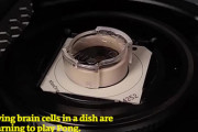 【朗報】人類、人工培養した脳に卓球ゲームを遊ばせることに成功