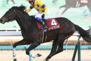 【天皇賞･秋】ノースブリッジ岩田康「ポツンと逃げさせてくれないかな」