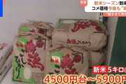 新米、高すぎてコメ離れへ