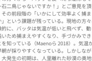 そういや中国のバッタってどうなったんや？