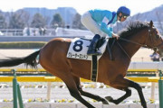 新種牡馬グレーターロンドン凄すぎワロタ