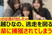 大越ひなの、逃走を図るも先輩に捕獲されてしまうwww【乃木坂46・乃木坂46のオールナイトニッポン・乃木坂配信中・乃木坂工事中】