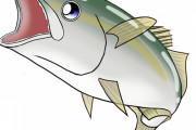 【う～ん】刺身でも焼いてもうまい魚←思いついたものｗｗｗｗｗ