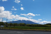 【花の季節だから富士山のふもとで】富士山が見えるって贅沢だよねぇ
