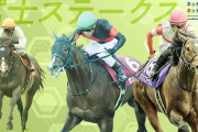 第25回富士ステークス(GⅡ)
