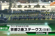 【京都2歳S】グリューネグリーン＆Mデムーロ騎手がｷﾀ━━━━(ﾟ∀ﾟ)━━━━ !!
