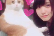 世界の欅ファンもびっくり！欅坂46キャプテン菅井友香、愛猫トムと共に海外有名ミームアカウントの画像ネタに採用されバズる