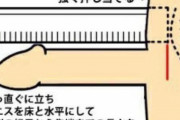 【デモ開催】全てのペ●スに平等を！サイズ差別を無くそう！粗チンを恥じるな！