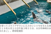 【悲報】ベルマークを大量に偽造した中学生に厳重注意「障がい者の助けになりたかった」