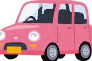 若者「車なんて持つ必要ない」ワイ「ほい200万円」若者「軽自動車買う！」