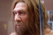 【人類学】ネアンデルタール人の遺伝子を受け継いでいる人は早起きが得意