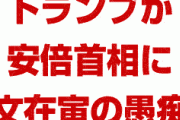 韓国政府パニック！　トランプが安倍首相に文在寅の愚痴をこぼしていた！　「北朝鮮から信用されてない」　終わったな…