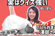 【櫻坂46】クイズが強い小林由依ちゃんといじられまくる澤部さん